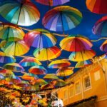 Viva Penedo: novo portal de turismo e comércio de Penedo